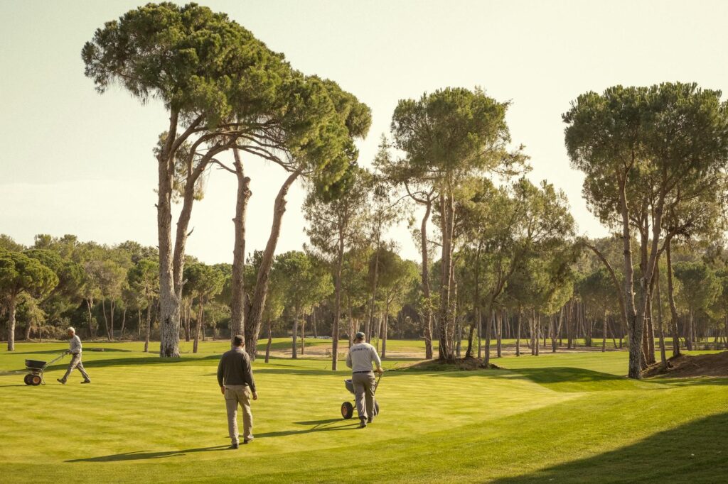 Golfers walking on a lush green course surrounded by tall trees. Ideal for travel and sports themes. – foto door Tuğba Sarıtaş via Pexels